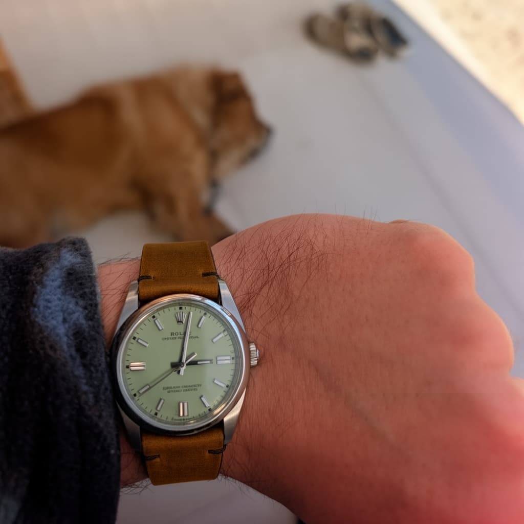 Model 2 Premium - Moss Brown